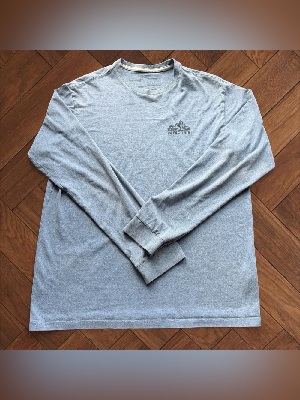 Patagonia Responsibili-Tee Long Sleeve Mountain Graphic T-Shirt Mens M Blue